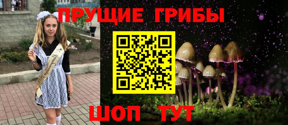 Псилоцибиновые грибы GOLDEN TEACHER Волоколамск