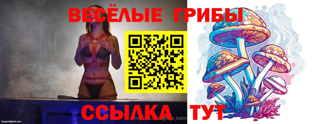 Волоколамск  Псилоцибиновые грибы мухоморы  Вход с VPN  Псилоцибиновые грибы Psilocybe 